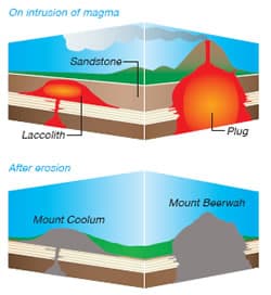 glasshouse formation