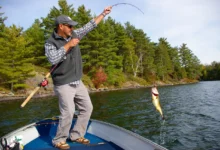 Best Lures for Trophy Largemouth Bass