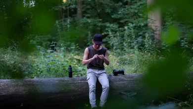 Signal in the Rainforest