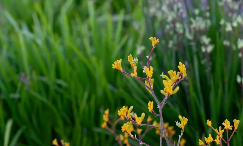 What Native Flowers and Forest Textures Teach Us